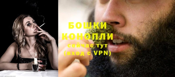 прущие грибы Богородск