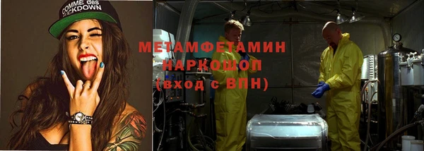 прущие грибы Богородск