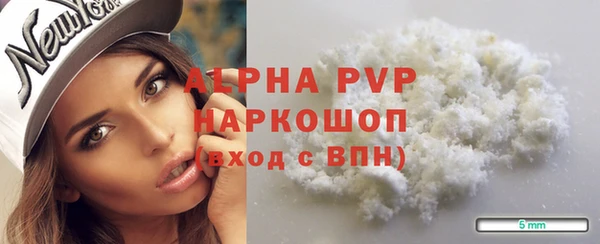 прущие грибы Богородск