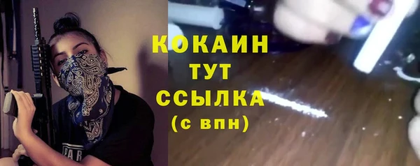 прущие грибы Богородск