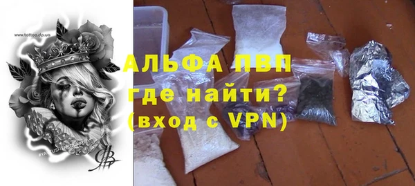 прущие грибы Богородск
